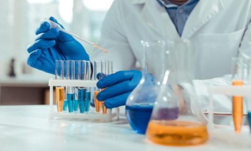 TOMA DE MUESTRAS DE LABORATORIO CLINICO Y BACTERIOLOGIA